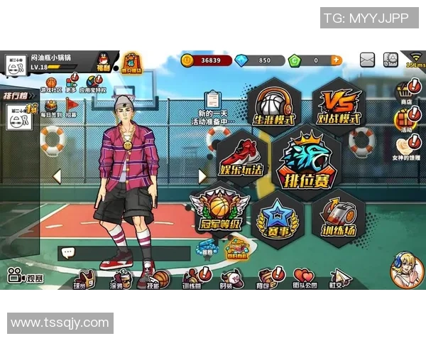 篮球魅力无限探索：从街头到职业赛场的成长与挑战